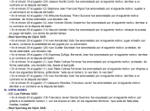 Extracto del acta arbitral de Pino Zamorano / rfef.es