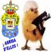 Avatar de Usuario