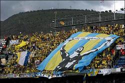 Avatar de Usuario