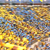 blog_aficion