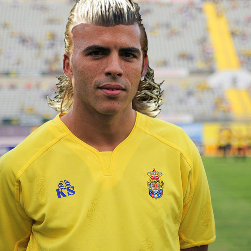 pollo13