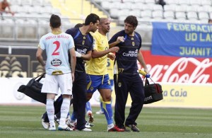 Pollo, Celta1