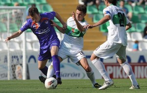 Elche - Guadalajara