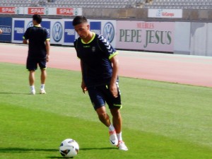 Christian Herrera, entrenamiento