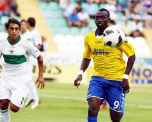 Chrisantus, Elche