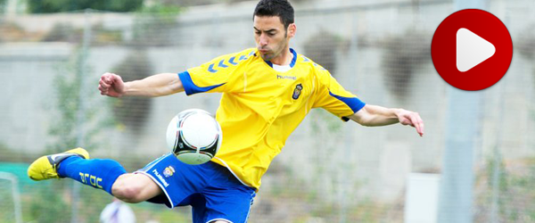 hector_600