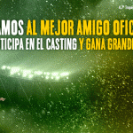 AF_TR_UDLP_800x400px