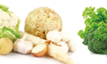 baner-728×90-spar-frutas