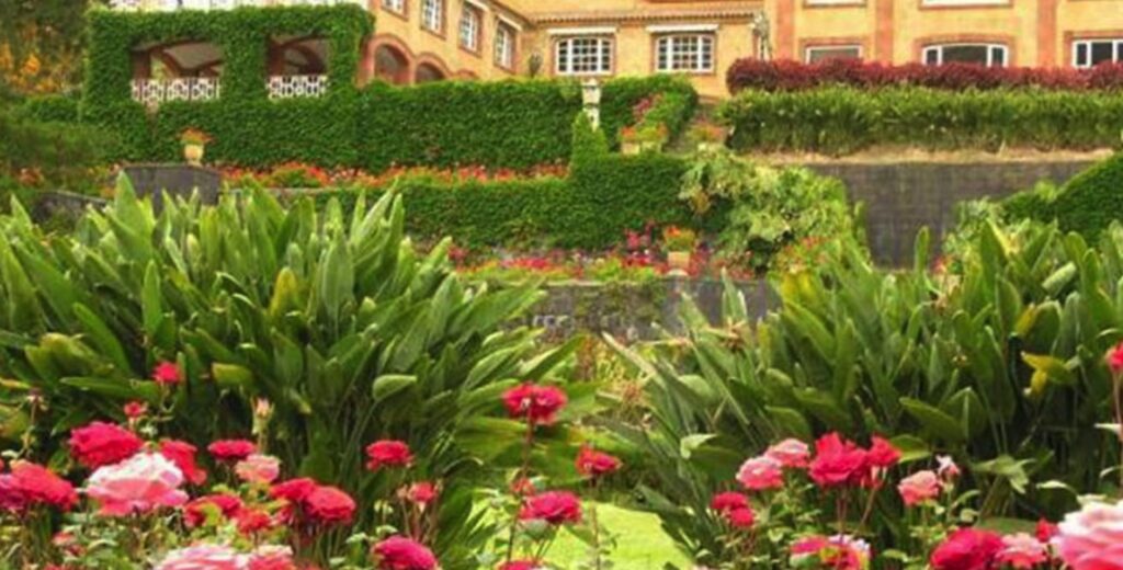 Screenshot | udlaspalmas.NET La UD Las Palmas compra la finca de Eufemiano Fuentes en Las Meleguinas. Historia negra, Fernando Alonso y el plan del club para usarla como centro deportivo.